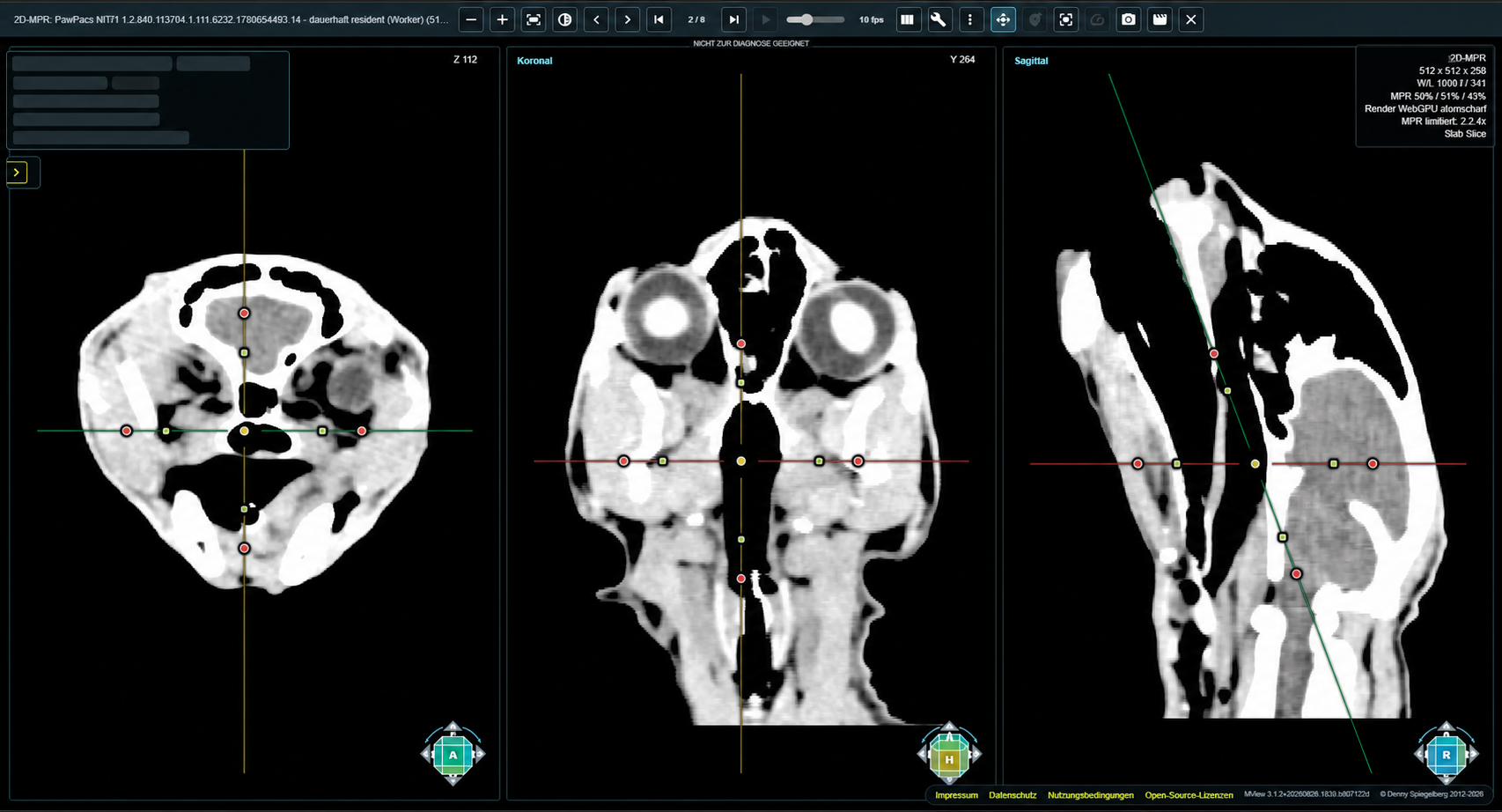 Echte PawPacs 3D- und MPR-Ansicht